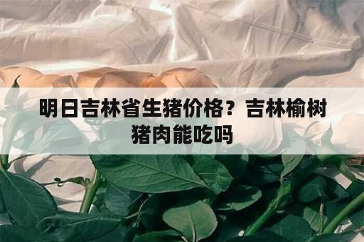 明日吉林省生猪价格？吉林榆树猪肉能吃吗