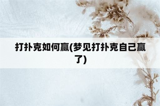 打扑克如何赢(梦见打扑克自己赢了)