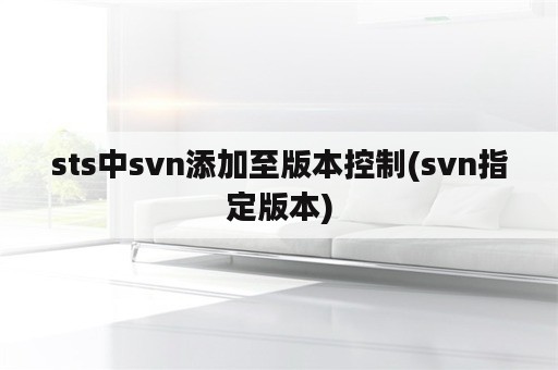 sts中svn添加至版本控制(svn指定版本)