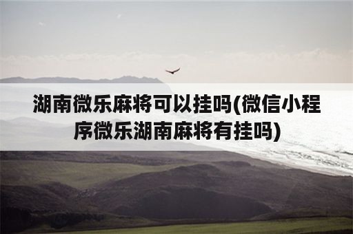 湖南微乐麻将可以挂吗(微信小程序微乐湖南麻将有挂吗)