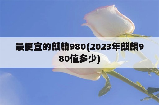 最便宜的麒麟980(2023年麒麟980值多少)