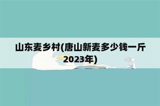 山东麦乡村(唐山新麦多少钱一斤2023年)