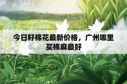 今日籽棉花最新价格，广州哪里买棉麻最好