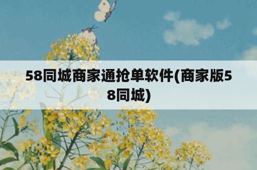 58同城商家通抢单软件(商家版58同城)