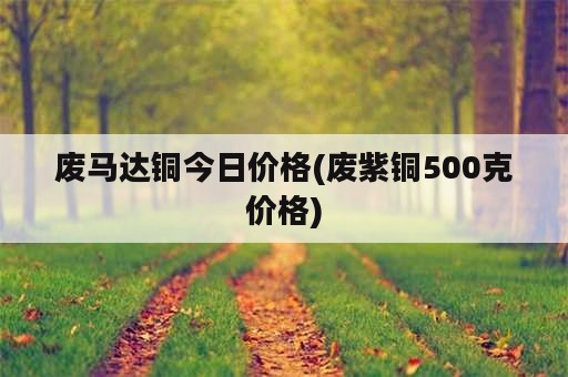 废马达铜今日价格(废紫铜500克价格)