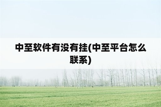 中至软件有没有挂(中至平台怎么联系)