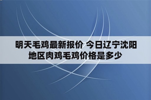 明天毛鸡最新报价 今日辽宁沈阳地区肉鸡毛鸡价格是多少