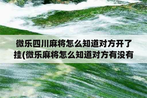 微乐四川麻将怎么知道对方开了挂(微乐麻将怎么知道对方有没有开挂)