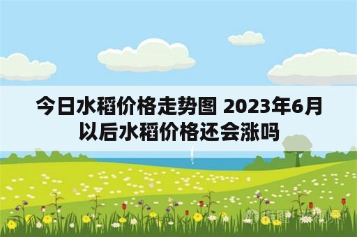 今日水稻价格走势图 2023年6月以后水稻价格还会涨吗