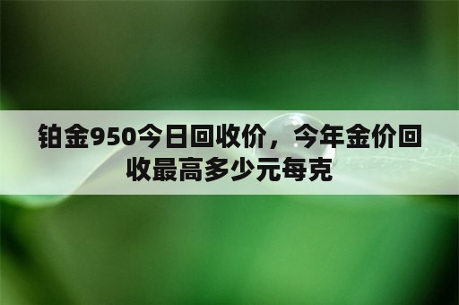 铂金950今日回收价，今年金价回收最高多少元每克