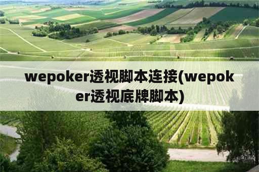 wepoker透视脚本连接(wepoker透视底牌脚本)