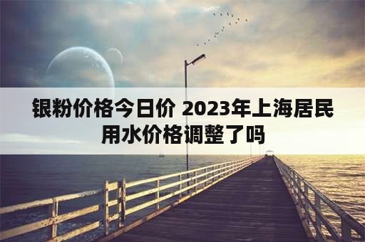 银粉价格今日价 2023年上海居民用水价格调整了吗