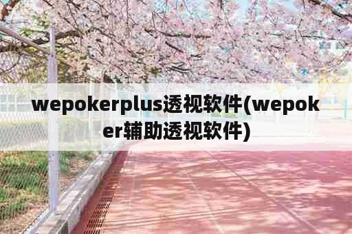 wepokerplus透视软件(wepoker辅助透视软件)