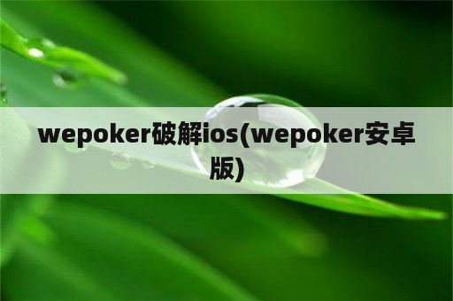 wepoker破解ios(wepoker安卓版)