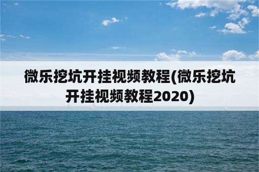 微乐挖坑开挂视频教程(微乐挖坑开挂视频教程2020)