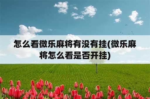 怎么看微乐麻将有没有挂(微乐麻将怎么看是否开挂)