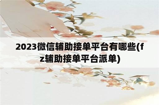 2023微信辅助接单平台有哪些(fz辅助接单平台派单)