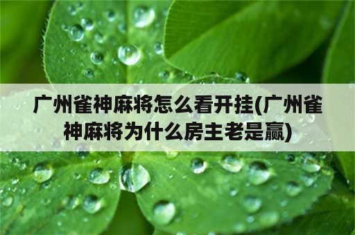 广州雀神麻将怎么看开挂(广州雀神麻将为什么房主老是赢)