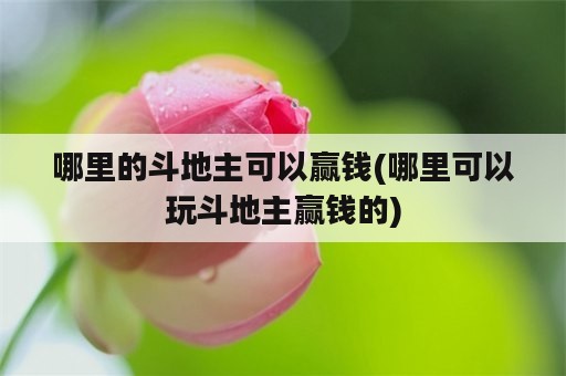 哪里的斗地主可以赢钱(哪里可以玩斗地主赢钱的)