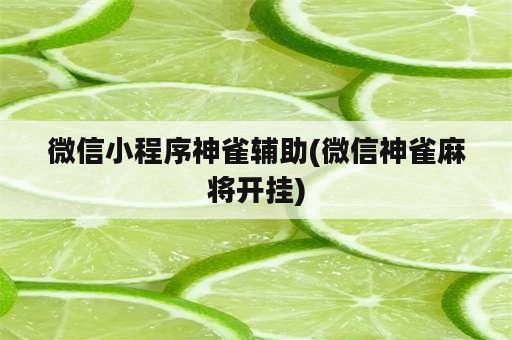 微信小程序神雀辅助(微信神雀麻将开挂)