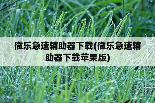 微乐急速辅助器下载(微乐急速辅助器下载苹果版)