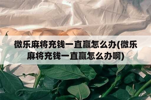 微乐麻将充钱一直赢怎么办(微乐麻将充钱一直赢怎么办啊)