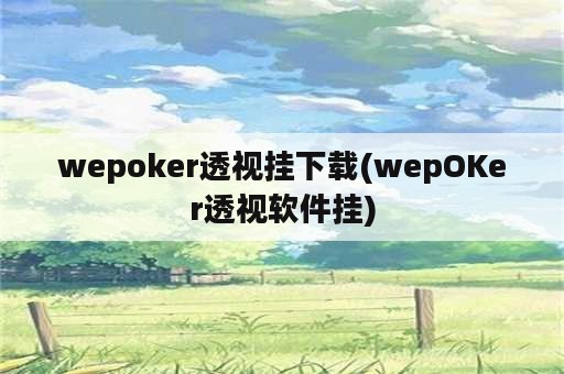 wepoker透视挂下载(wepOKer透视软件挂)
