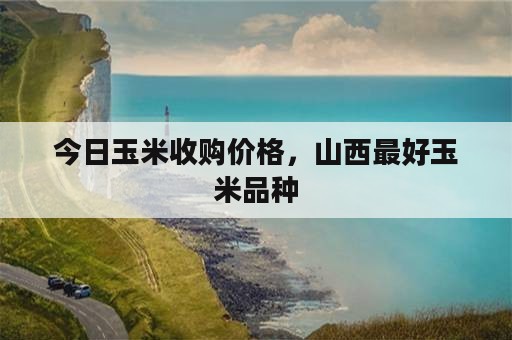 今日玉米收购价格，山西最好玉米品种