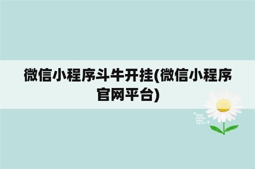 微信小程序斗牛开挂(微信小程序官网平台)