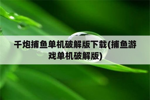 千炮捕鱼单机破解版下载(捕鱼游戏单机破解版)