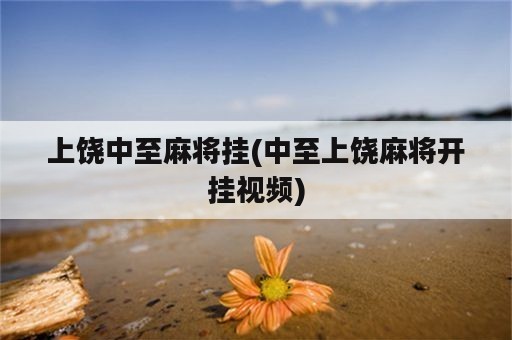 上饶中至麻将挂(中至上饶麻将开挂视频)