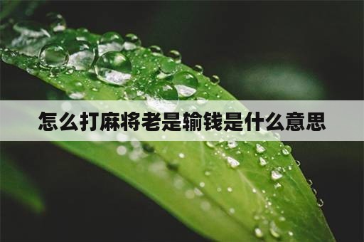 怎么打麻将老是输钱是什么意思