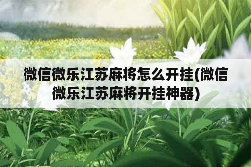 微信微乐江苏麻将怎么开挂(微信微乐江苏麻将开挂神器)