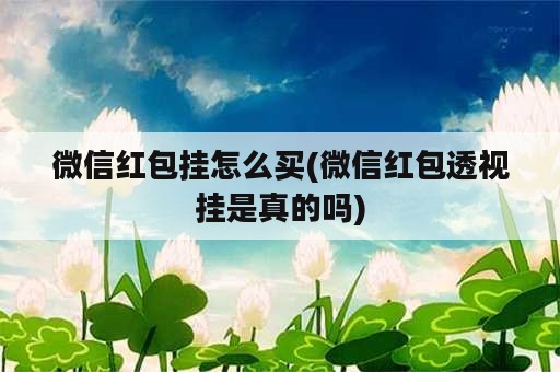 微信红包挂怎么买(微信红包透视挂是真的吗)