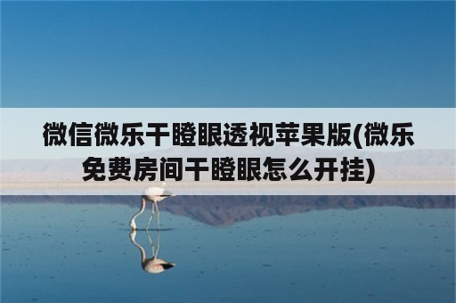 微信微乐干瞪眼透视苹果版(微乐免费房间干瞪眼怎么开挂)