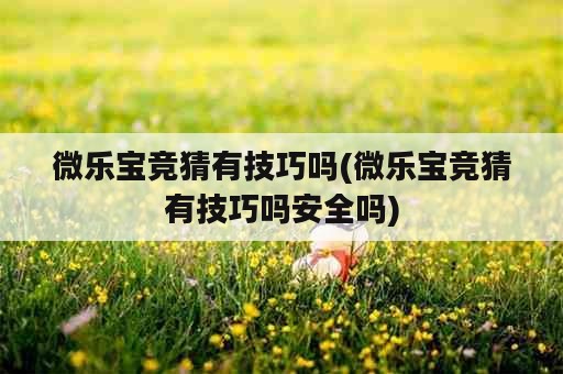 微乐宝竞猜有技巧吗(微乐宝竞猜有技巧吗安全吗)