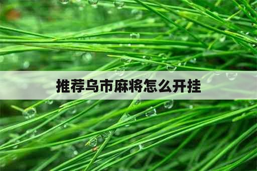 推荐乌市麻将怎么开挂