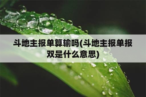 斗地主报单算输吗(斗地主报单报双是什么意思)