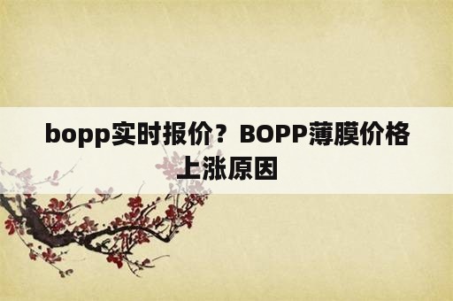 bopp实时报价？BOPP薄膜价格上涨原因