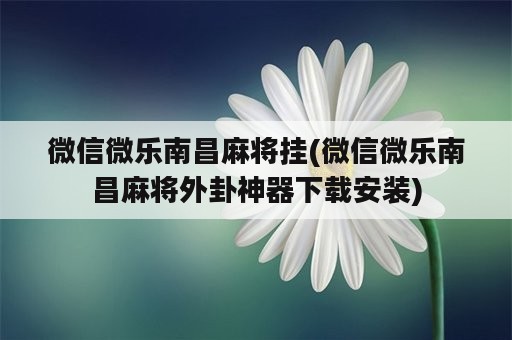 微信微乐南昌麻将挂(微信微乐南昌麻将外卦神器下载安装)