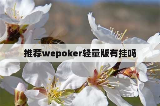 推荐wepoker轻量版有挂吗