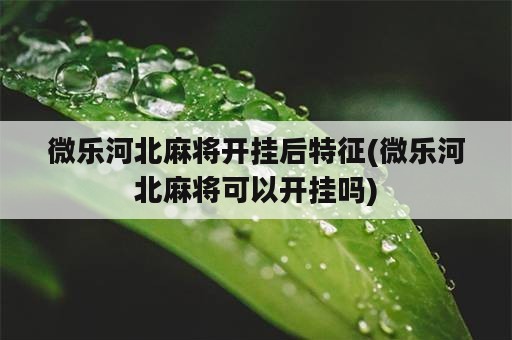 微乐河北麻将开挂后特征(微乐河北麻将可以开挂吗)