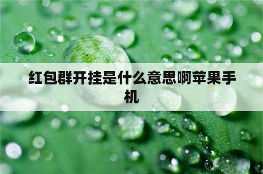 红包群开挂是什么意思啊苹果手机