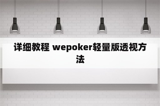 详细教程 wepoker轻量版透视方法