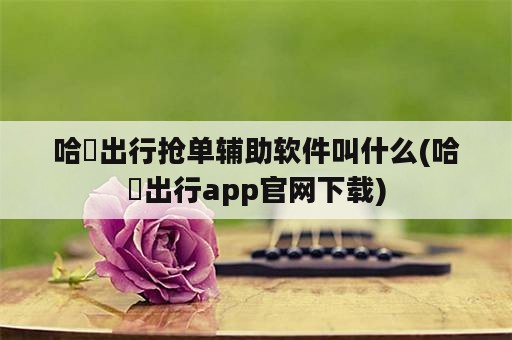 哈啰出行抢单辅助软件叫什么(哈啰出行app官网下载)