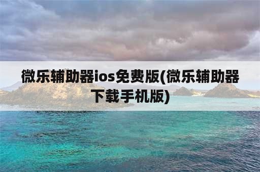 微乐辅助器ios免费版(微乐辅助器下载手机版)