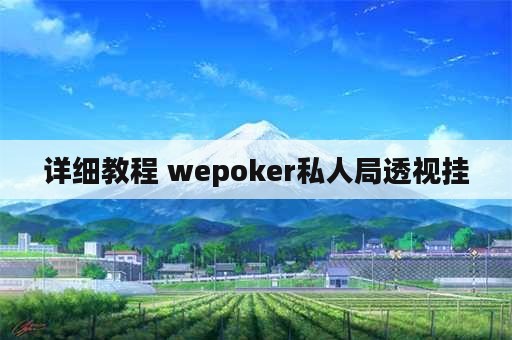 详细教程 wepoker私人局透视挂