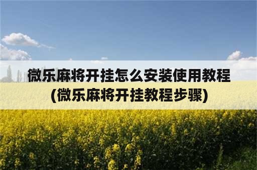 微乐麻将开挂怎么安装使用教程(微乐麻将开挂教程步骤)